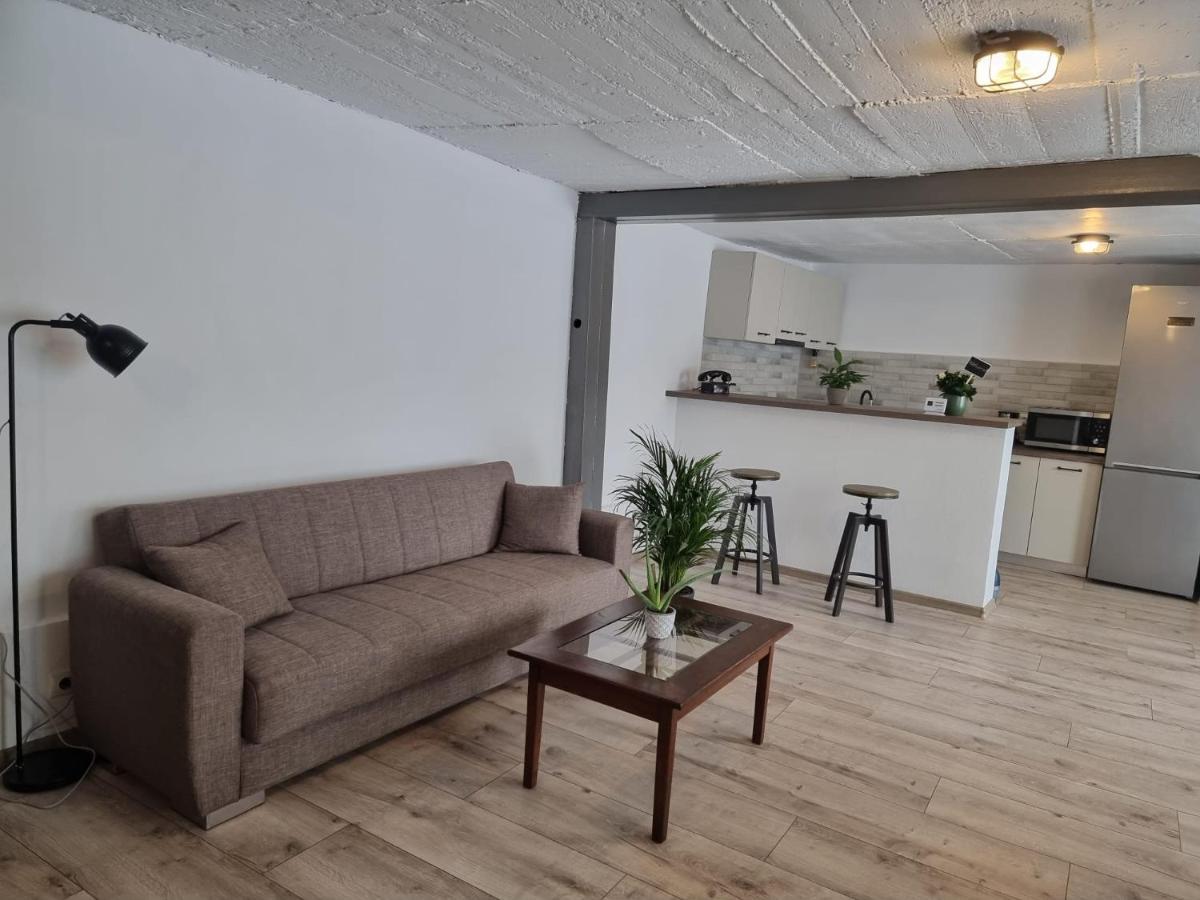 The Cozy Bunker Leilighet Sibiu Eksteriør bilde