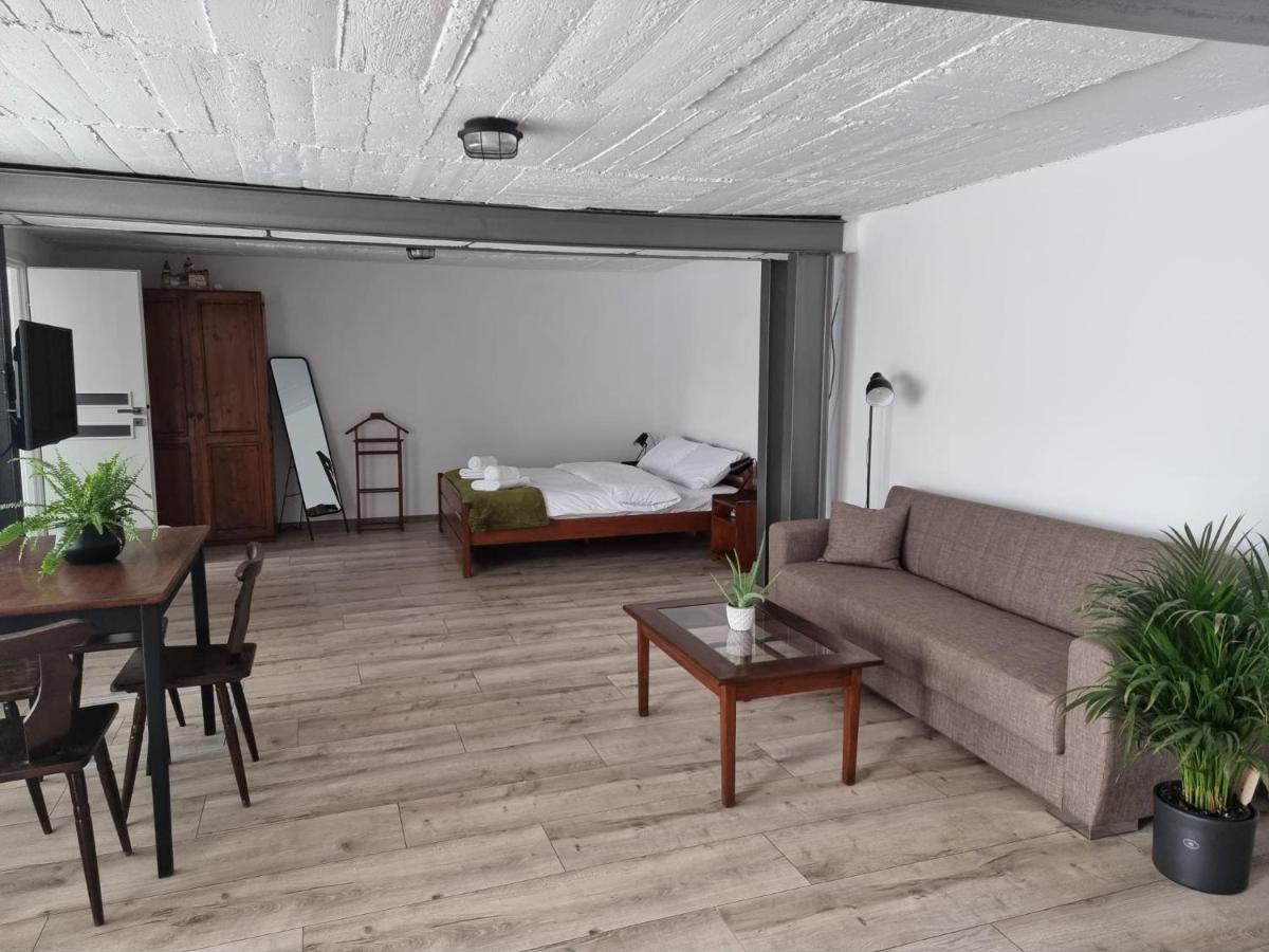 The Cozy Bunker Leilighet Sibiu Eksteriør bilde