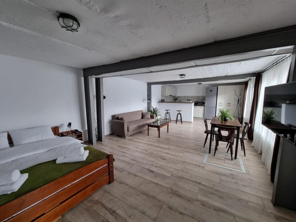 The Cozy Bunker Leilighet Sibiu Eksteriør bilde