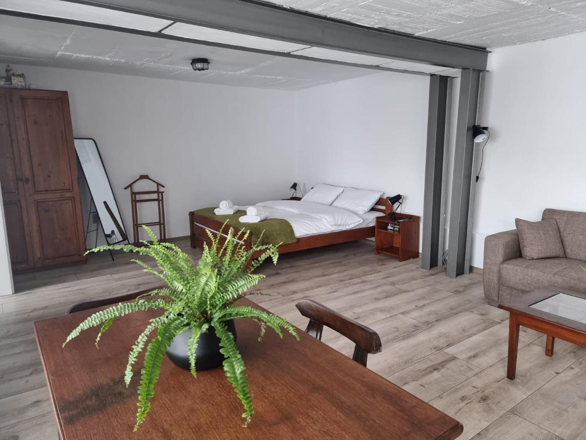 The Cozy Bunker Leilighet Sibiu Eksteriør bilde