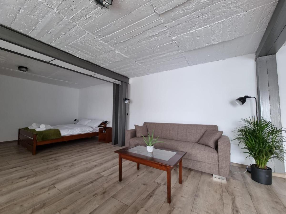 The Cozy Bunker Leilighet Sibiu Eksteriør bilde