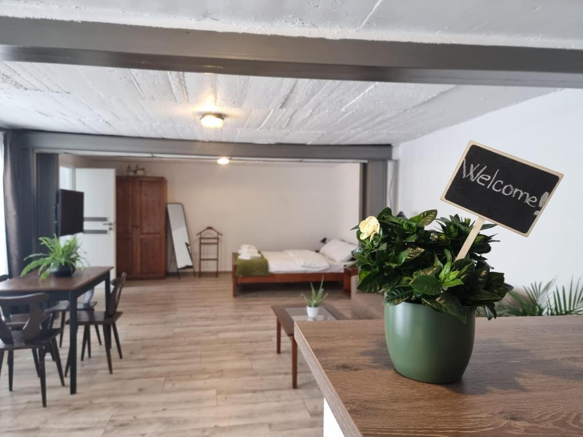 The Cozy Bunker Leilighet Sibiu Eksteriør bilde