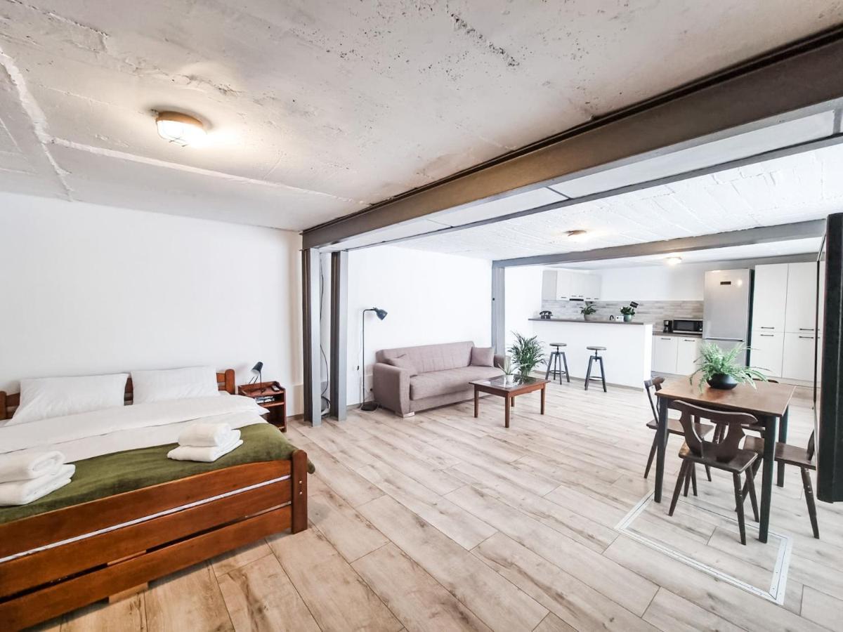 The Cozy Bunker Leilighet Sibiu Eksteriør bilde