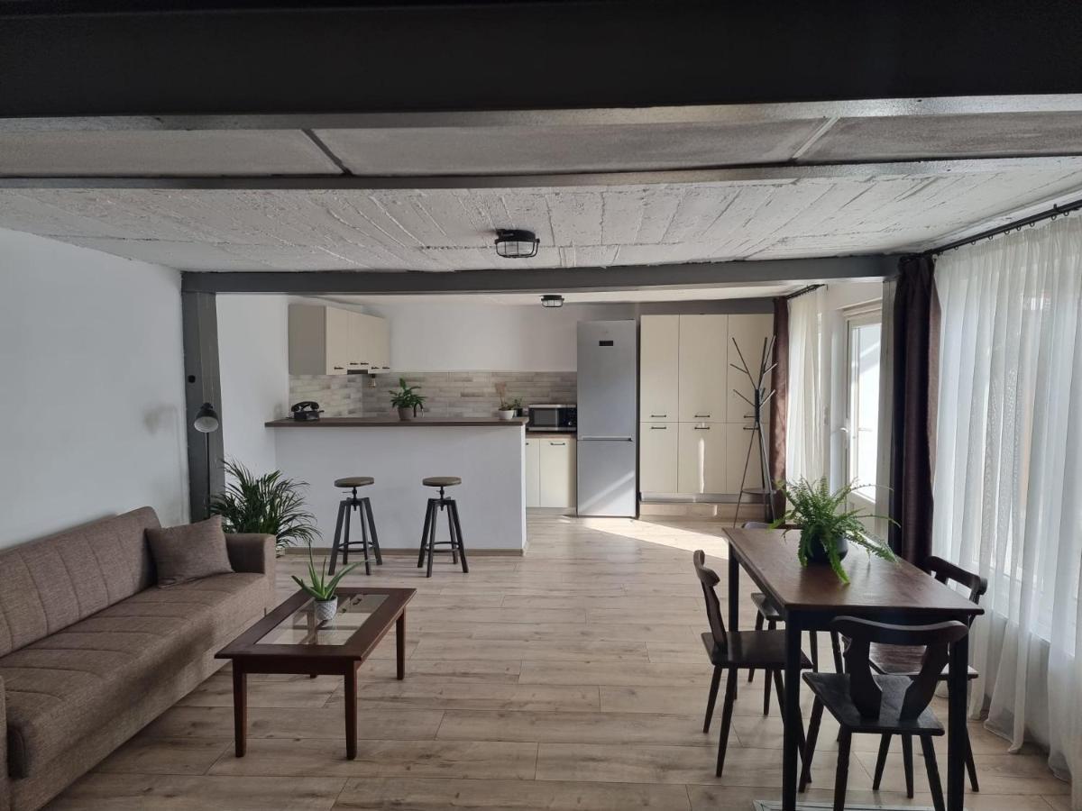 The Cozy Bunker Leilighet Sibiu Eksteriør bilde