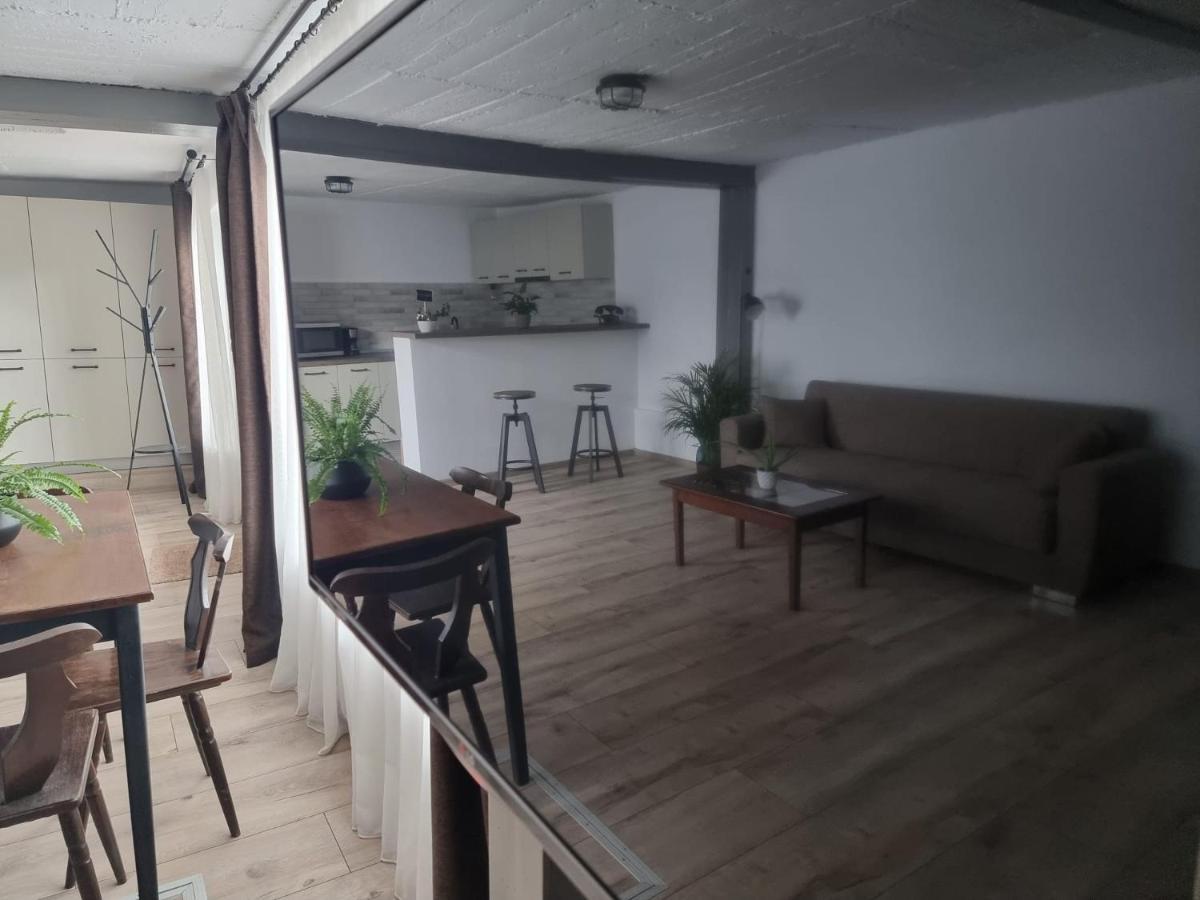 The Cozy Bunker Leilighet Sibiu Eksteriør bilde